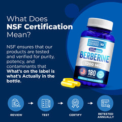 We Like Vitamins Berberine HCL capsules visible for easy daily dose