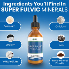 Gut health icon beside Well of Life Super Fulvic Minerals bottle