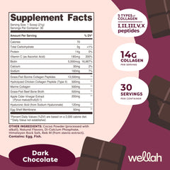 Wellah Afterglow scoop-dispense emphasizes easy daily serving of collagen protein.