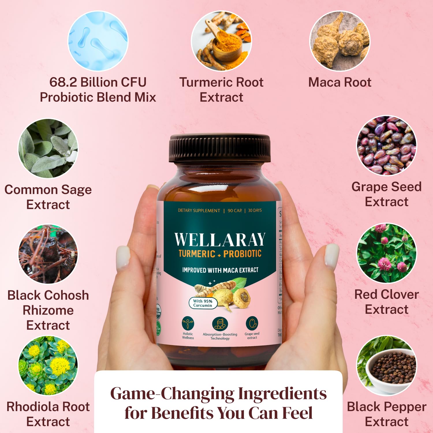 Wellaray Daily Three Capsules bottle illustrating convenient daily use.