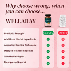 Wellaray Gut Health Digestive Support bottle highlighting digestion and comfort.