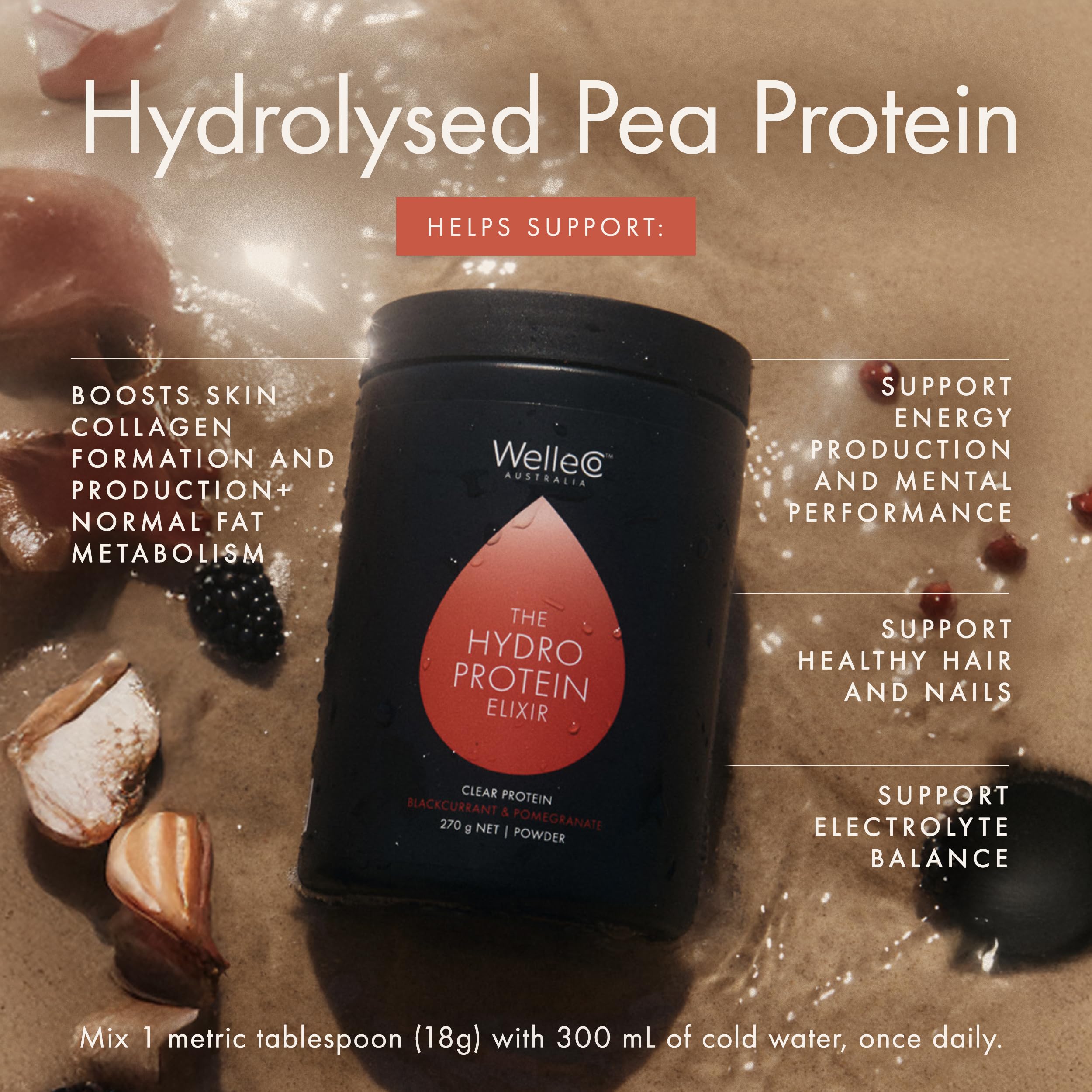 WelleCo HydroProtein Elixir minerals image highlights zinc and magnesium support