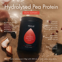 WelleCo HydroProtein Elixir minerals image highlights zinc and magnesium support