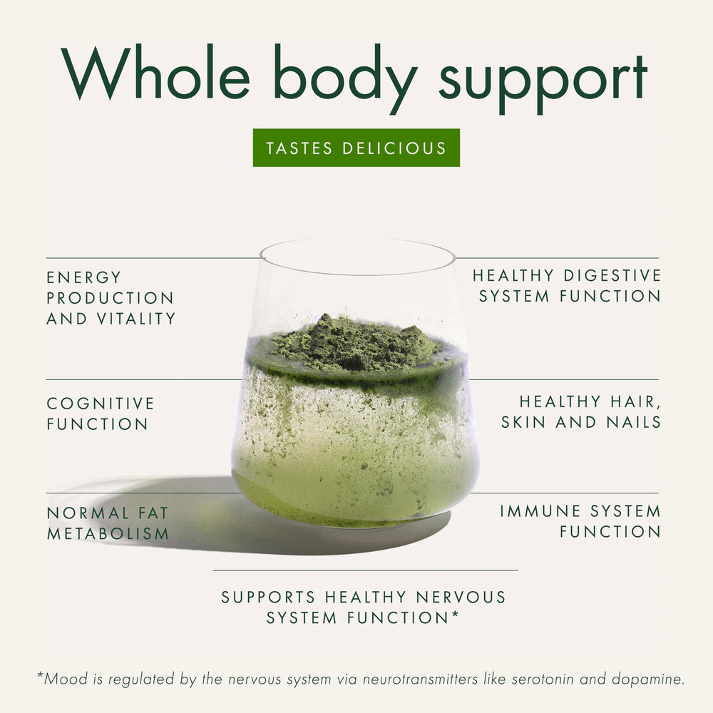 WelleCo Probiotic Drink Mix bottle highlights gut-friendly probiotic blend