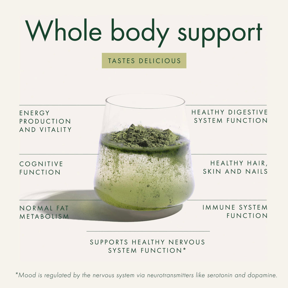 Antioxidant-rich ingredients like acai emphasize WelleCo Super Elixir's skin-support benefits.