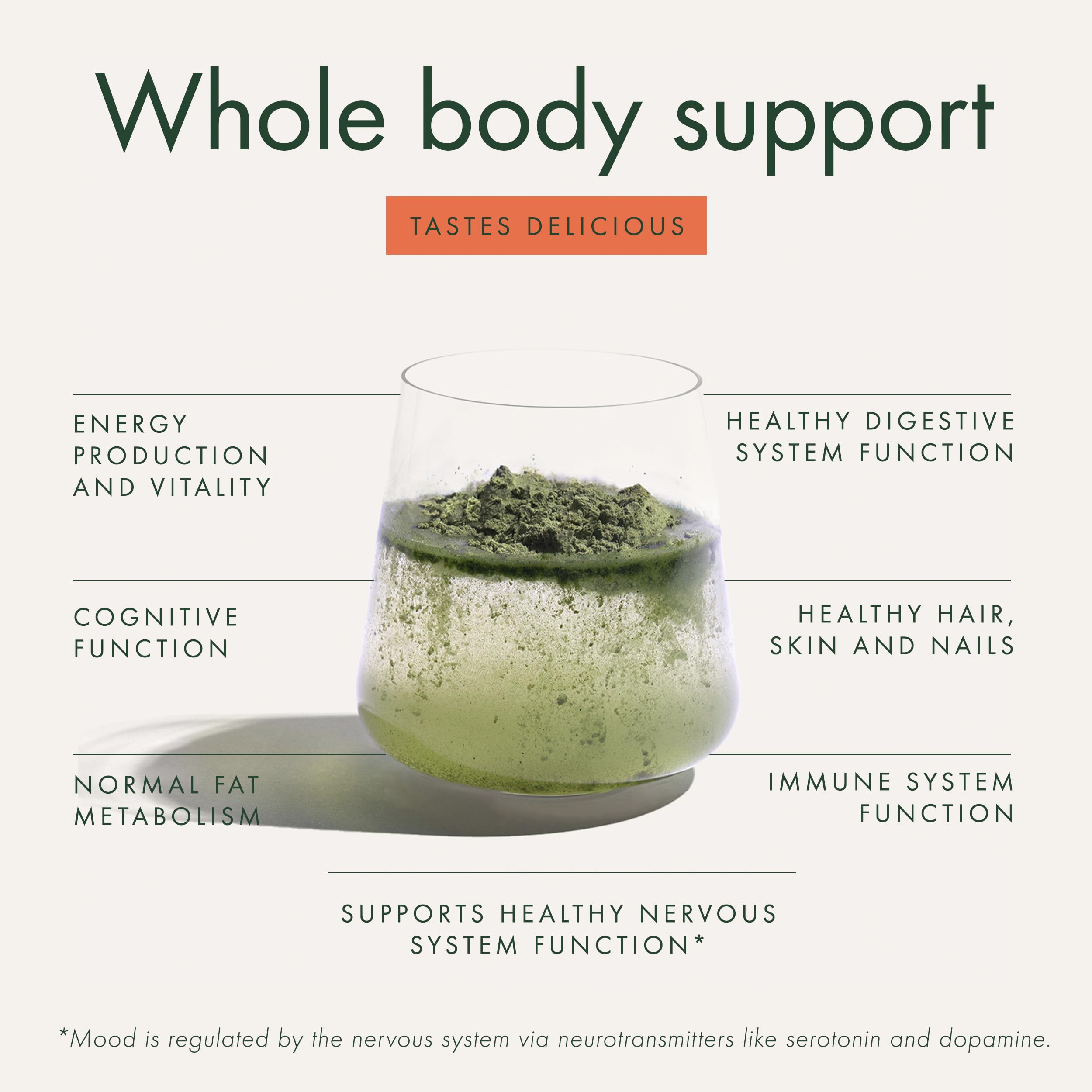 Ingredients display featuring probiotics, greens, and mushrooms in WelleCo The Super Elixir