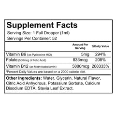 Wellgenix B12 Max Liquid bottle features B6 and folate supporting daily metabolism