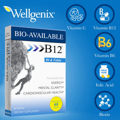 Wellgenix Bio 60-count pack showing convenient daily nutrition on the go.
