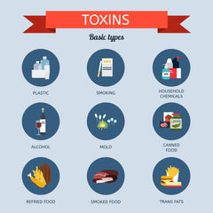 Wellgenix Strip NC bottle on counter demonstrates convenient, ready to use detox moments
