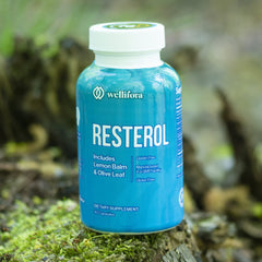 Wellifora Resterol ingredients graphic summarizes key nutrients
