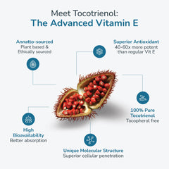 WELLNESS EXTRACT annatto tocotrienols bottle on table conveys convenient daily supplementation.