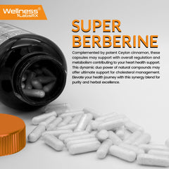 Packaging highlights apple cider vinegar blend within Wellness LabsRx Berberine
