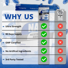 WELLNESS LABSRX bottle label showcasing quality standards and clean ingredients.