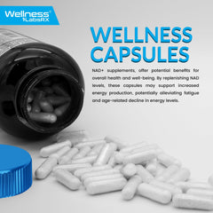 WELLNESS LABSRX bottle on a clean kitchen counter