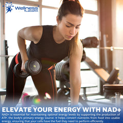WELLNESS LABSRX daily-use setup with two capsules suggesting routine.