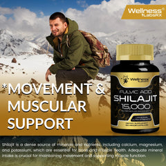 WELLNESS LABSRX Himalayan Shilajit GMP-certified seal reinforcing safety and potency.