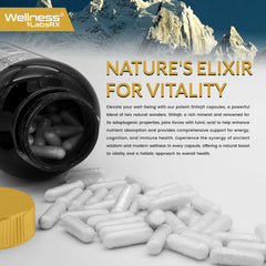 WELLNESS LABSRX Himalayan Shilajit fulvic acid detail implying enhanced nutrient absorption.