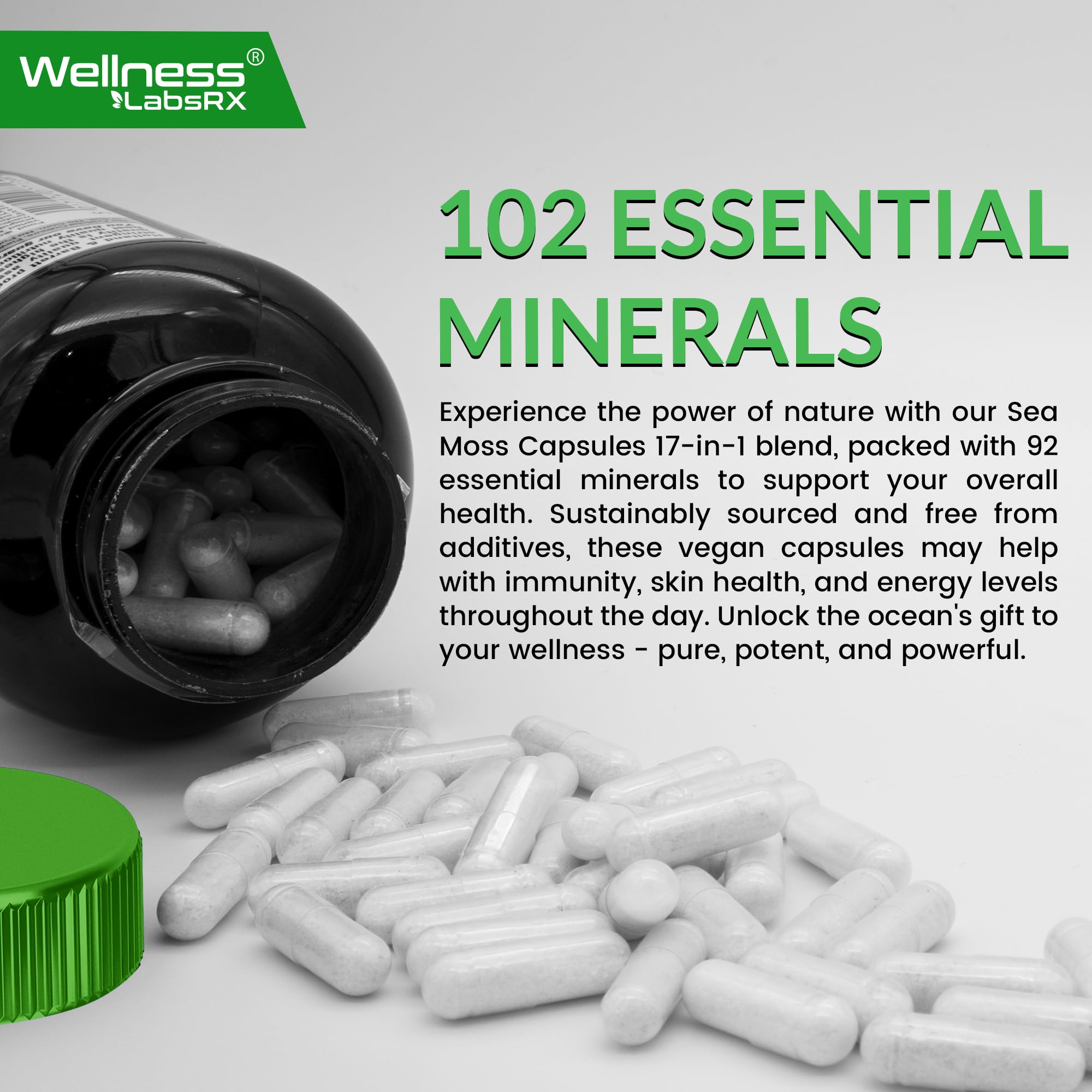 WELLNESS LABSRX immune-boosting sea moss capsules on a bright countertop.