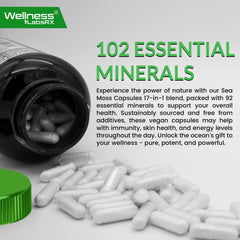 WELLNESS LABSRX immune-boosting sea moss capsules on a bright countertop.