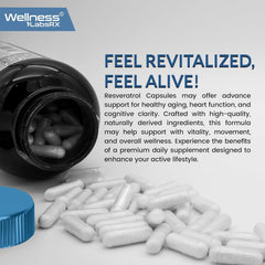Wellness LabsRx Resveratrol 1000mg capsules stack suggesting compact daily capsules