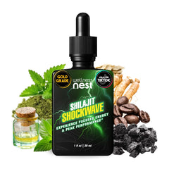 Wellness Nest Shilajit Shockwave bottle boosts daily energy and focus.