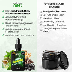 Wellness Nest Shilajit Shockwave designed for easy daily routine.