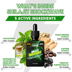 Wellness Nest Shilajit Shockwave Tulsi and Panax highlight natural focus.