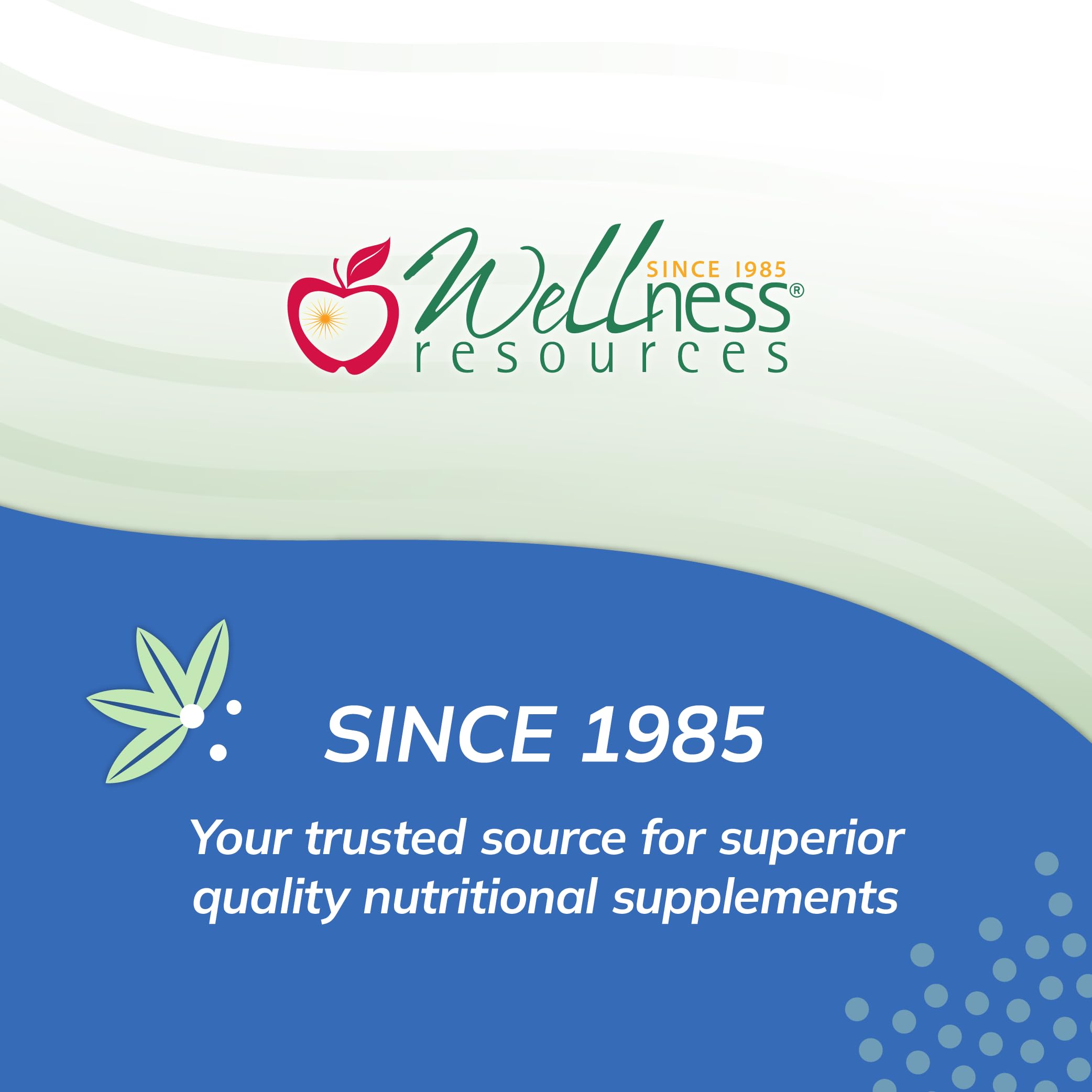 Wellness Resources Blood Booster iron in a glass of water for daily intake