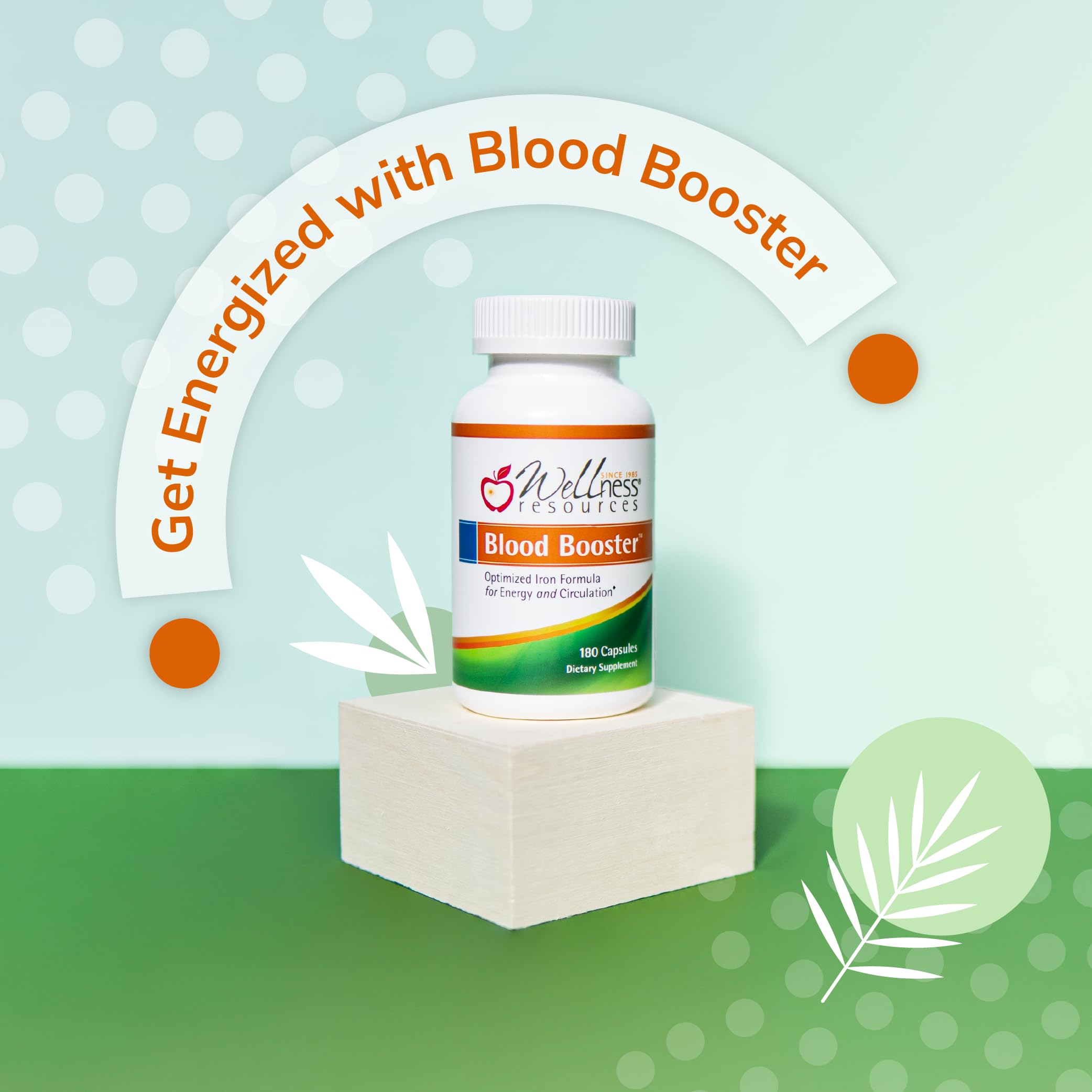 Wellness Resources Blood Booster iron ingredients including methylfolate and B vitamins