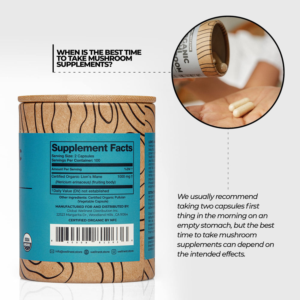 Eco-friendly recycled cardboard packaging for Wellnest Lions Mane