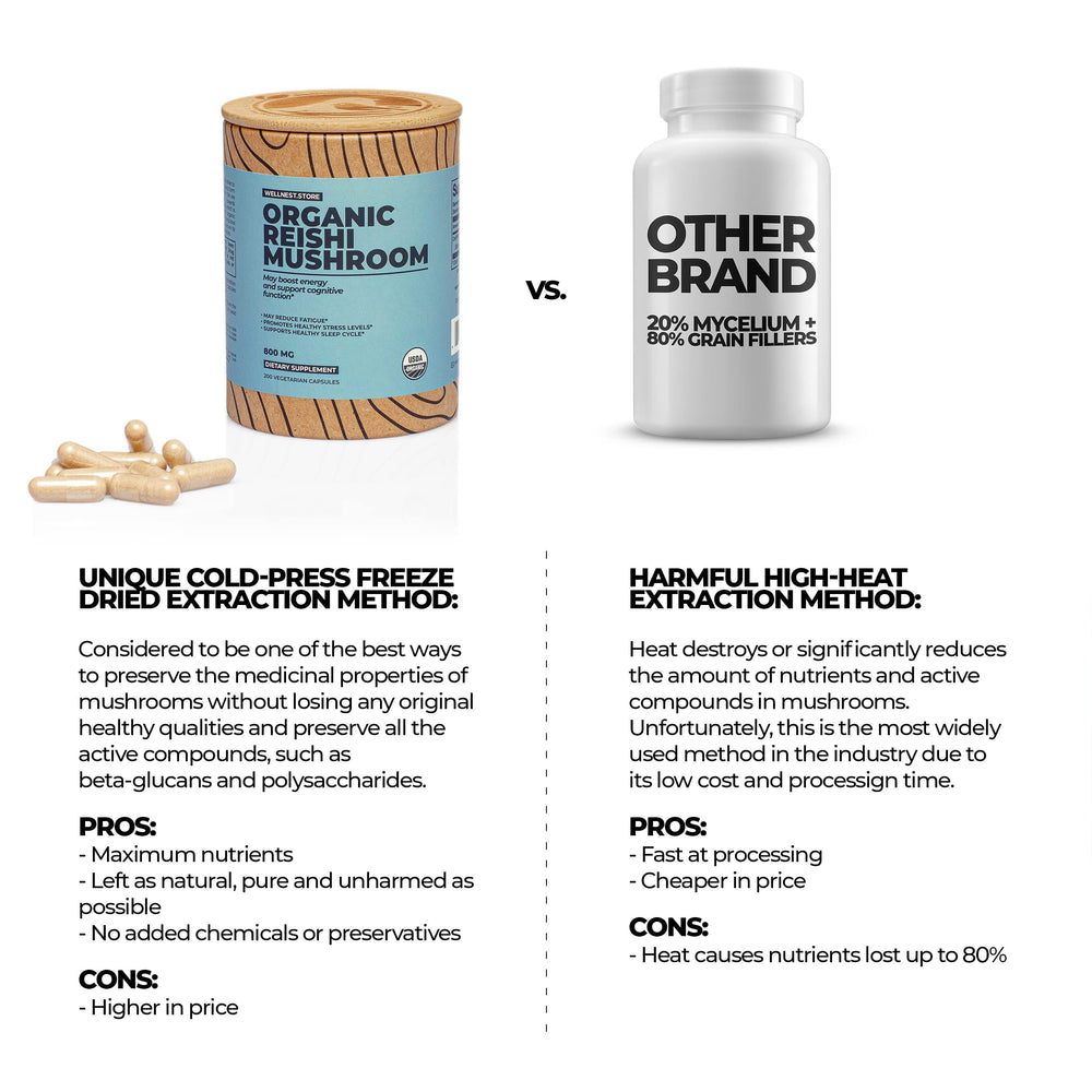 Wellnest.Store Reishi packaging with GMP certification seal.