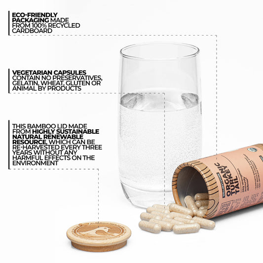 Wellnest Turkey Tail capsules ready for daily use