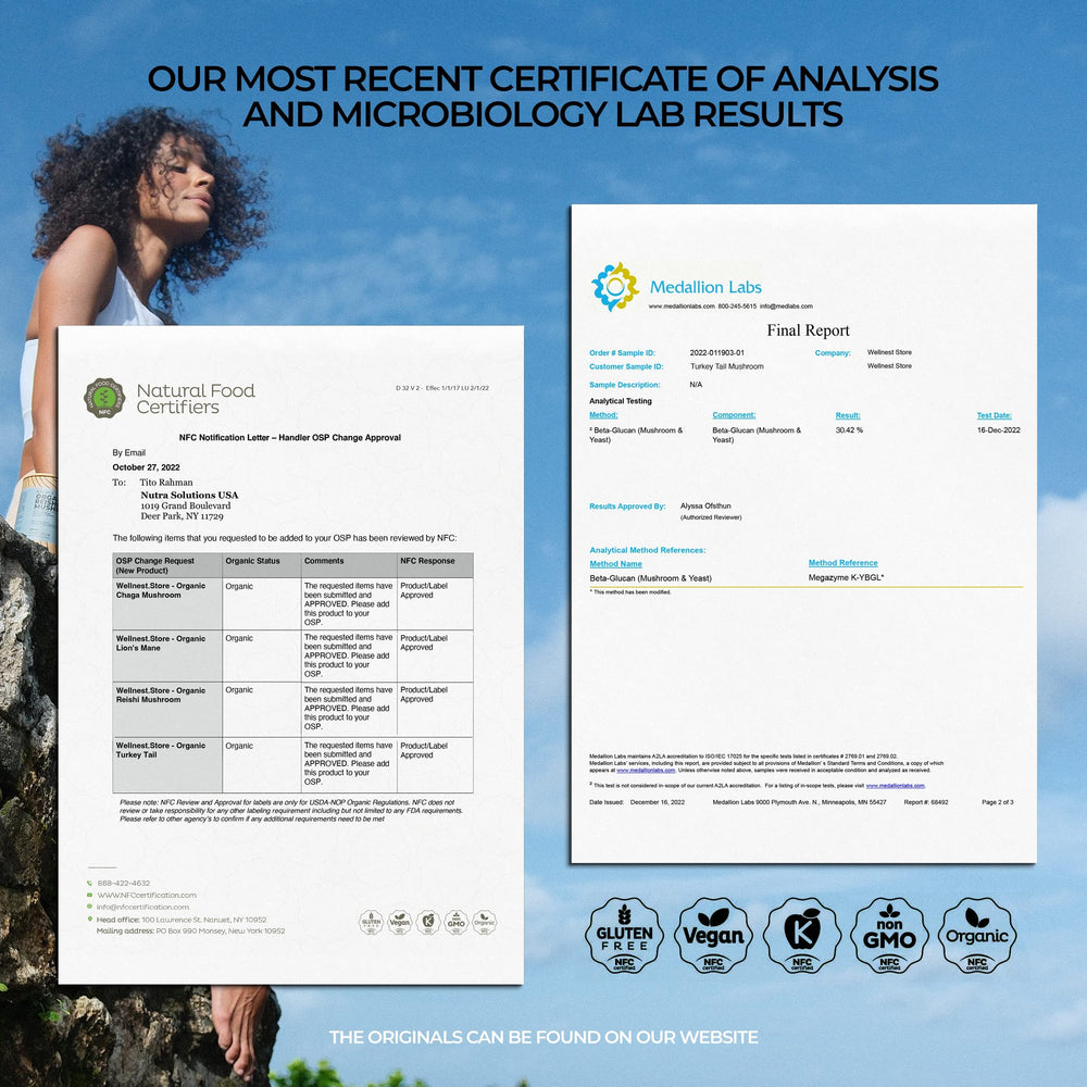 Eco-friendly packaging from Wellnest for Turkey Tail supplement