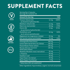 WellPath Zen Vegan Gluten-Free Capsules for plant-based wellness.