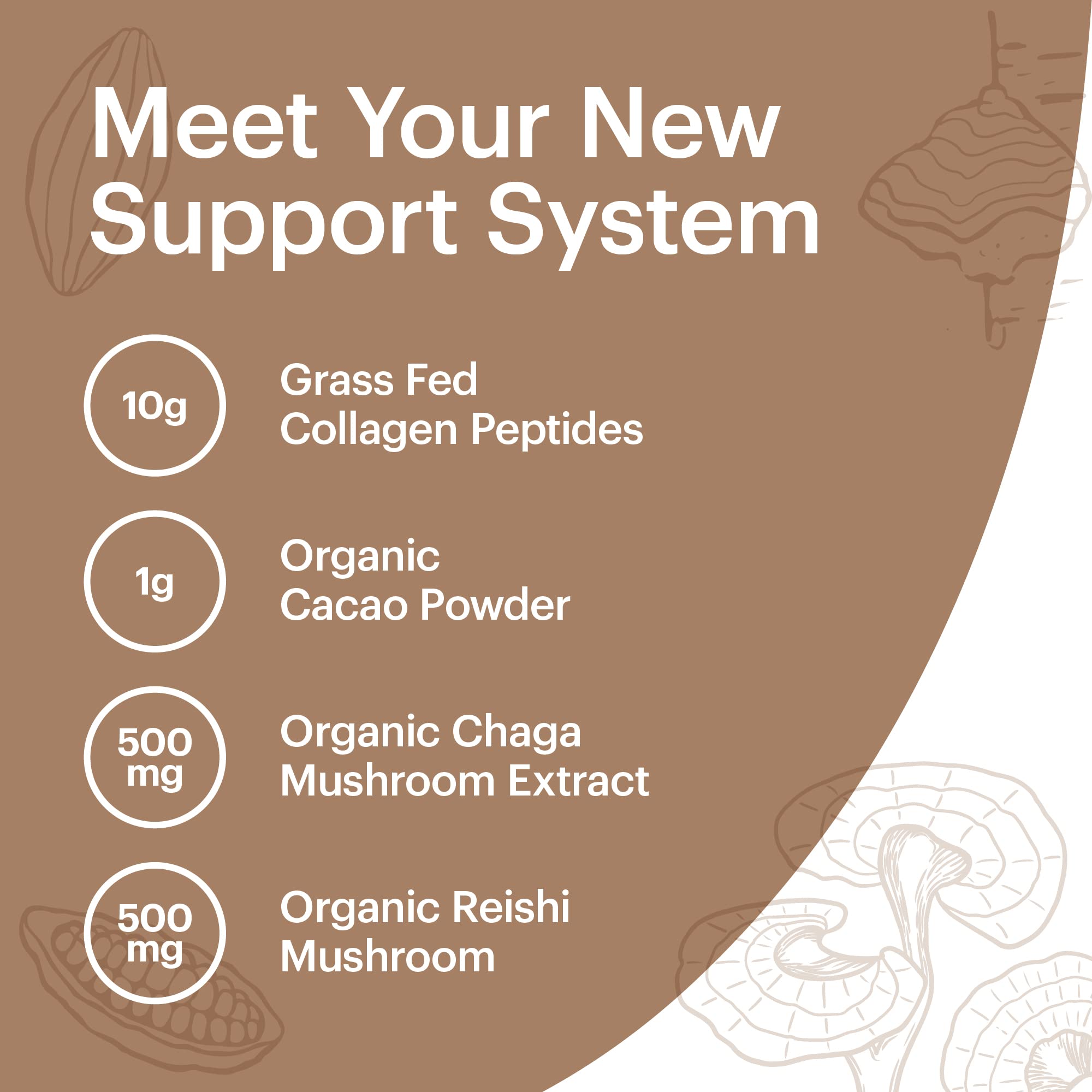 Wellthy Collagen Superfood Powder featuring Chaga and Reishi mushrooms for earthy depth.