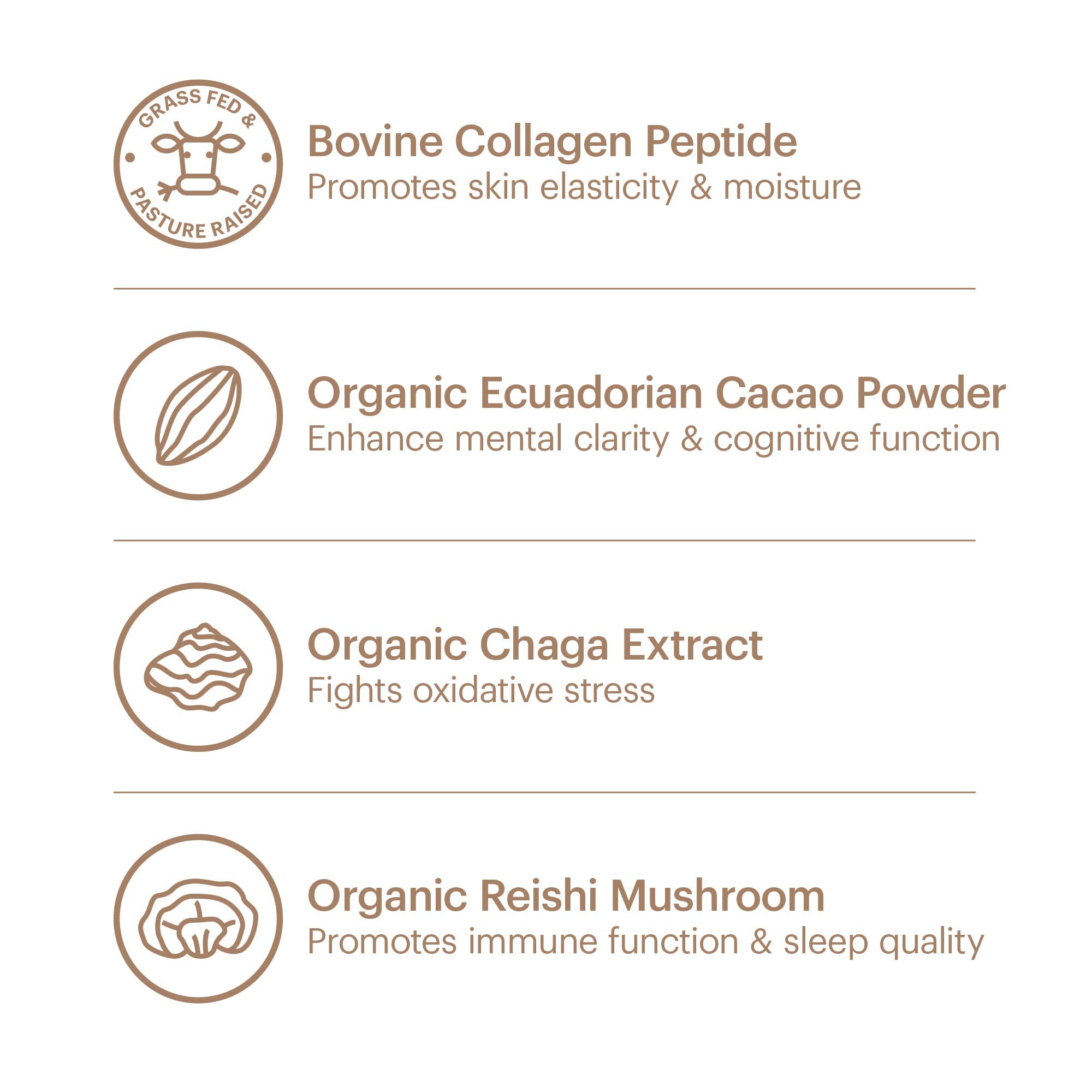 Wellthy Collagen Superfood Powder highlighting Ecuadorian cacao and monk fruit sweetness.