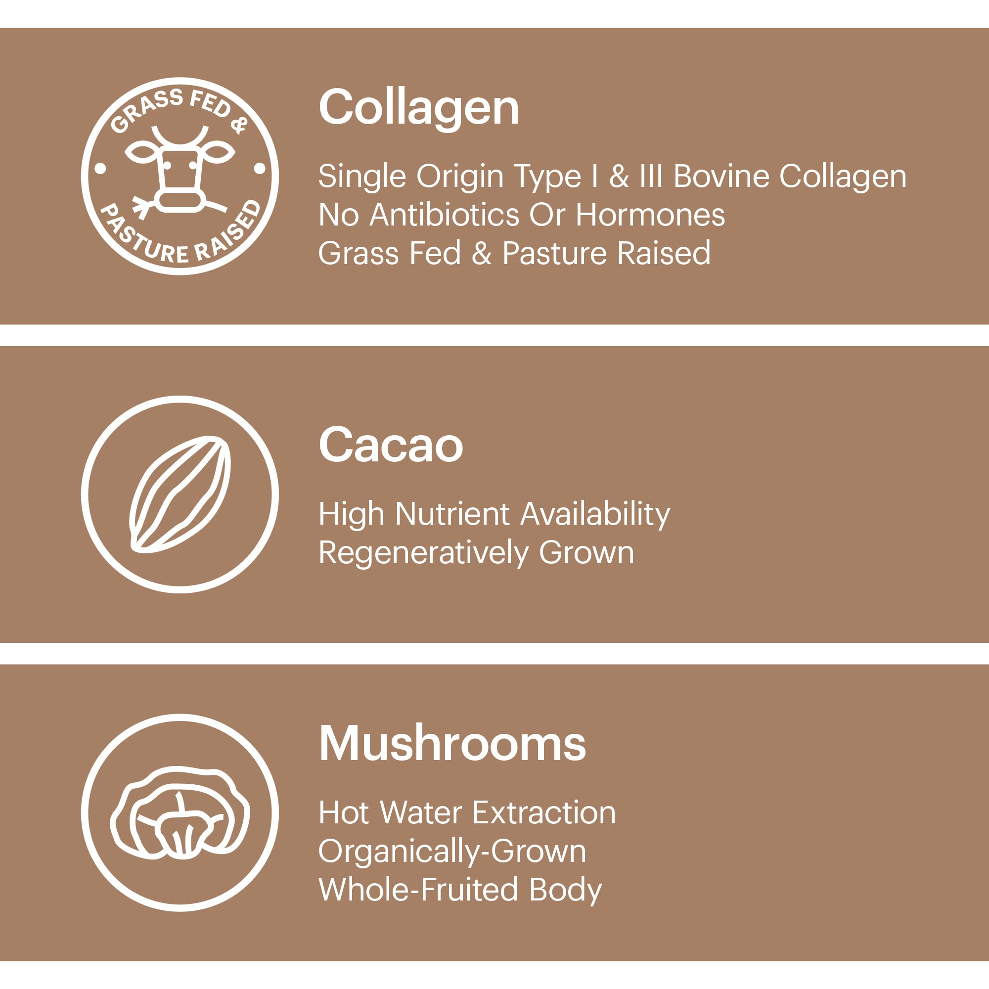 Wellthy Collagen Superfood Powder in a smoothie for supportive skin elasticity and joints.