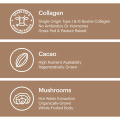 Wellthy Collagen Superfood Powder in a smoothie for supportive skin elasticity and joints.
