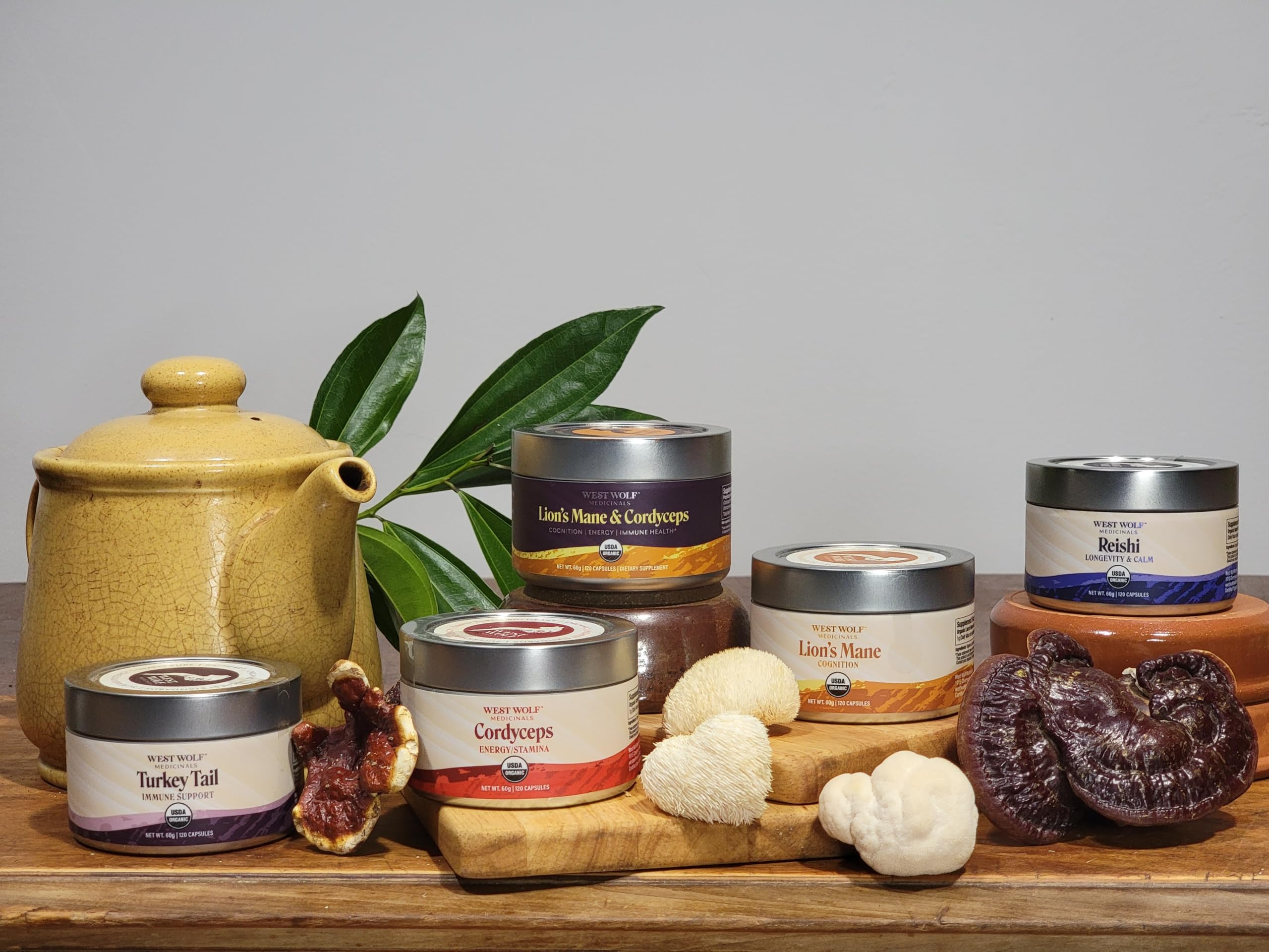 West Wolf Medicinals reusable tin closeup promotes eco-conscious packaging.