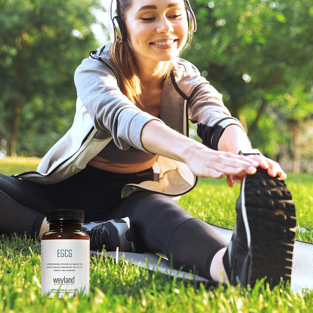 Weyland EGCG pack of 3 bottles for bulk wellness.