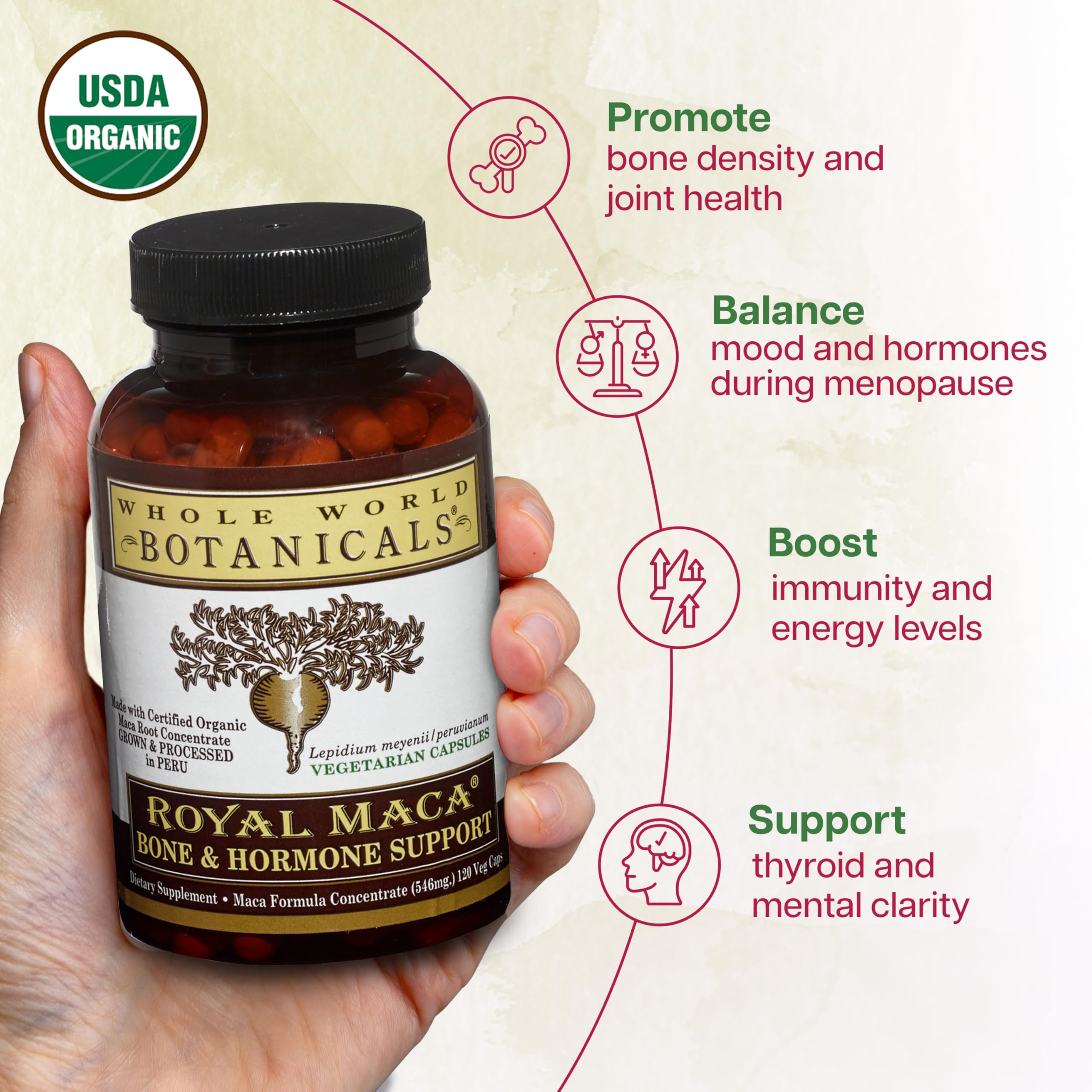 Whole World Botanicals Royal Maca Capsules in hand suggest easy daily intake.