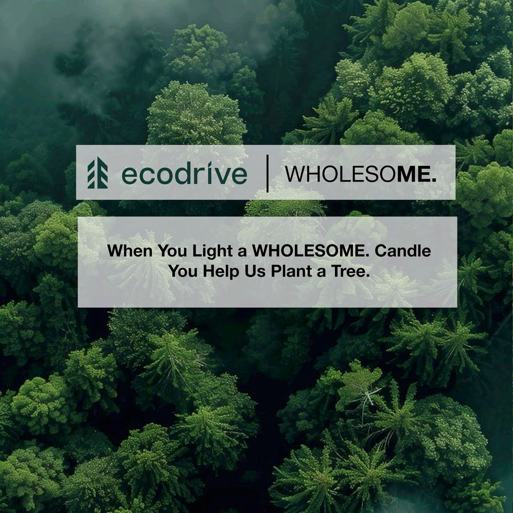 WHOLESOME Warm Woods candle emitting soft ambient light in a cozy setting.