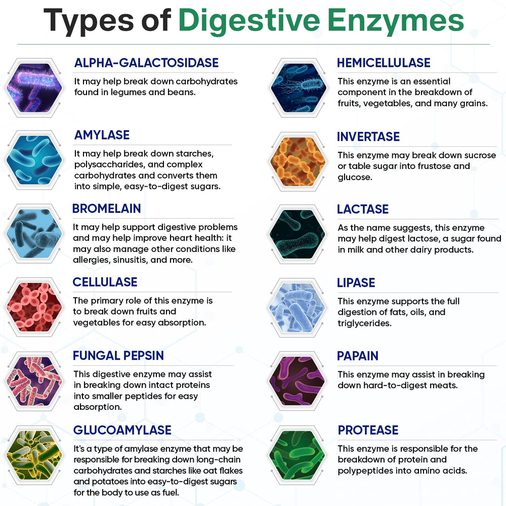 Wholesome Wellness enzymes with amylase and bromelain aid carbohydrate digestion