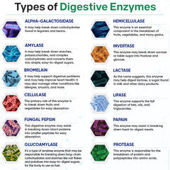 Wholesome Wellness enzymes with amylase and bromelain aid carbohydrate digestion