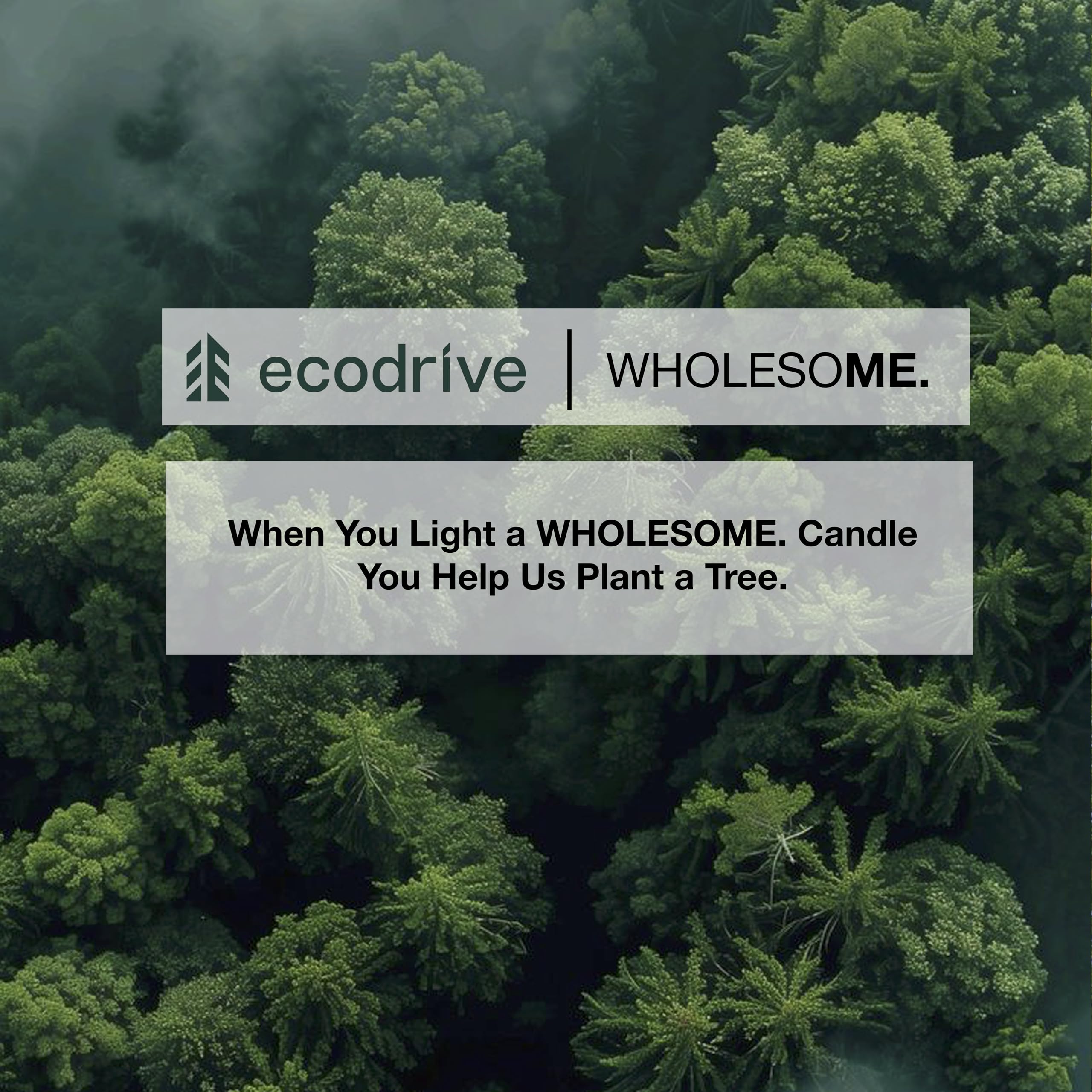 WHOLESOME wick trimming tip helps achieve a clean, even burn.