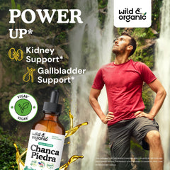 Label closeup of Wild & Organic Chanca Piedra Drops showing vegan, GMO-free formula.