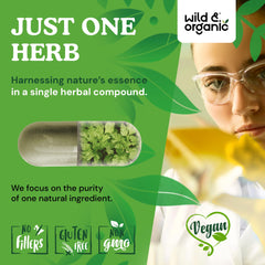 Wild & Organic cilantro capsules label view noting GMO-free formulation.