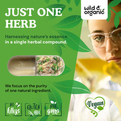 Wild & Organic dong quai capsules 60-day supply, convenient daily use.