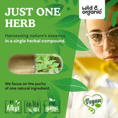Close-up of plant-based coating on Goldenseal capsules.