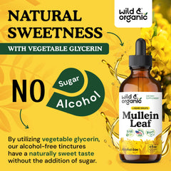 Wild & Organic Mullein Drops glycerin base image underscores alcohol-free tincture.